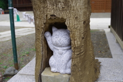 招き猫_荻窪白山神社