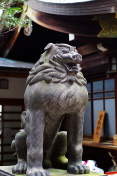 狛犬_下谷神社