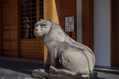 雌虎そっぽを向く_天現寺