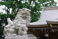 狛犬_荻窪八幡神社
