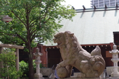 狛犬_住吉神社(佃島)