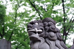 狛犬_大國魂神社