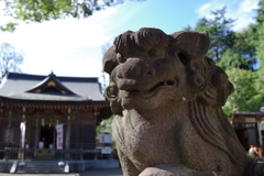 狛犬_青渭神社