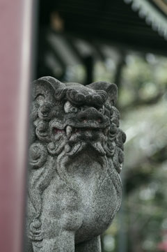 狛犬_須賀神社