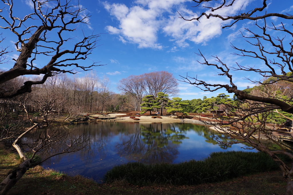 二の丸庭園_皇居東御苑