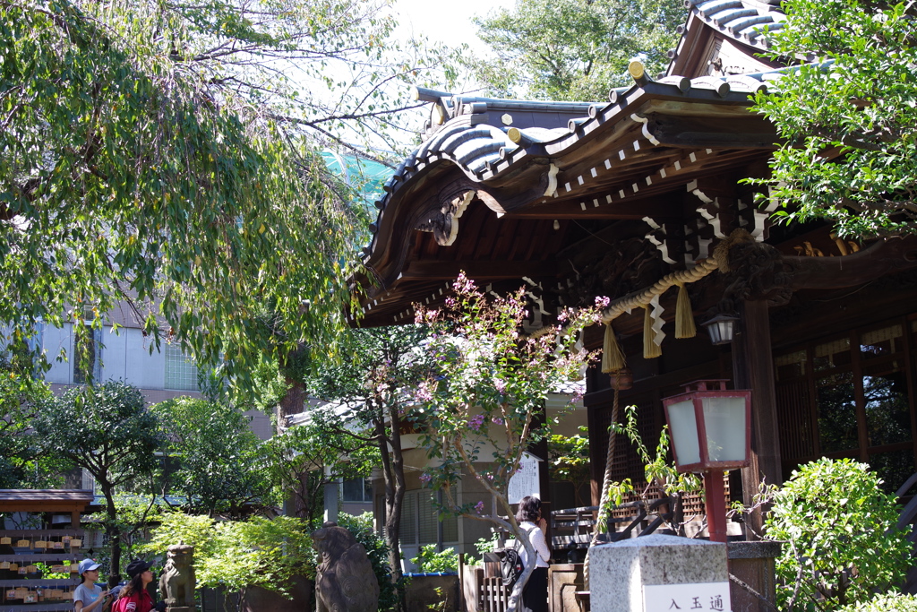 拝殿_白山神社