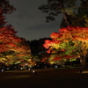 紅葉ライトアップ_太田黒公園