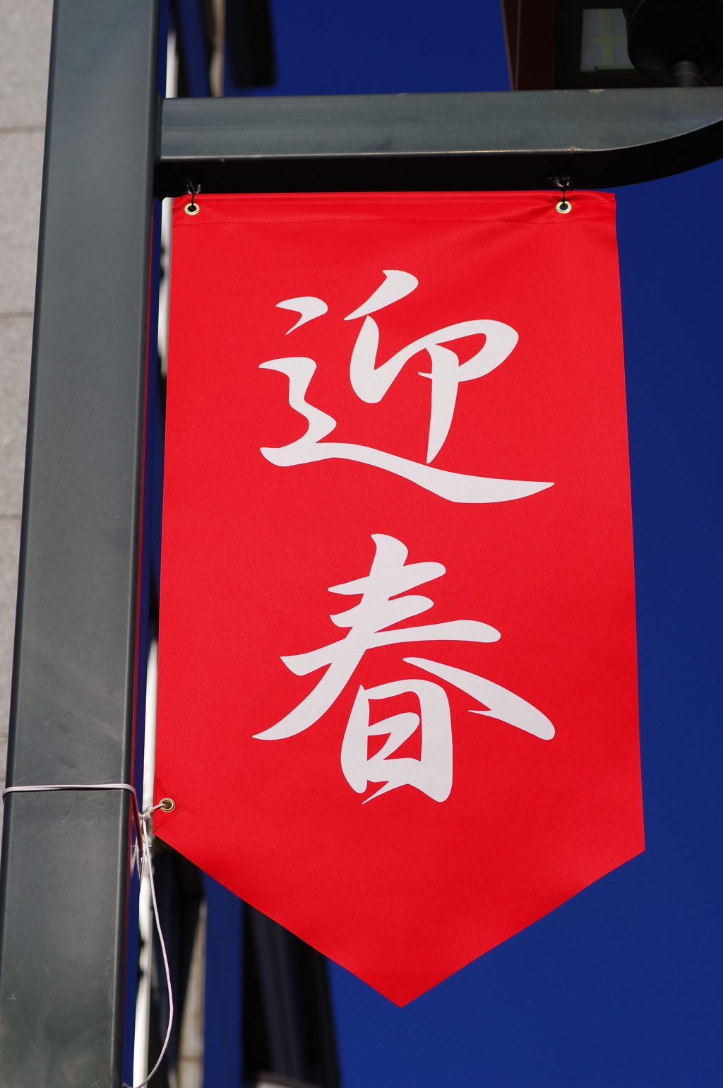 迎春