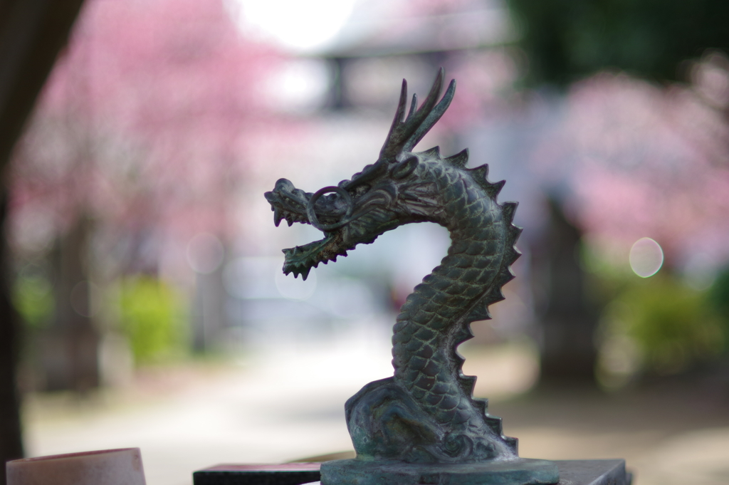 手水舎_龍_新井天神北野神社