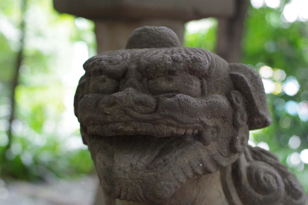 狛犬_金王八幡宮