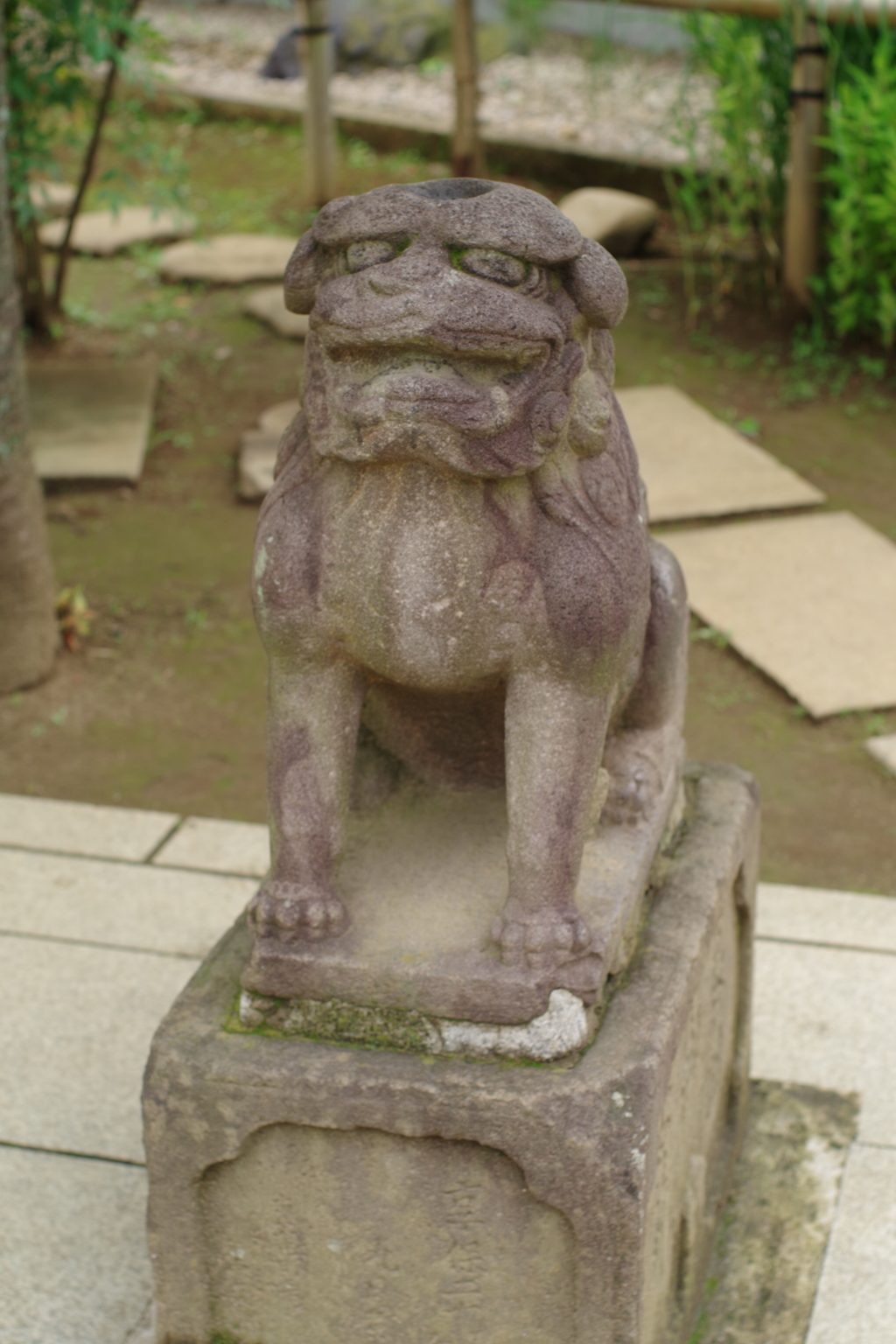 狛犬_鳩森八幡神社