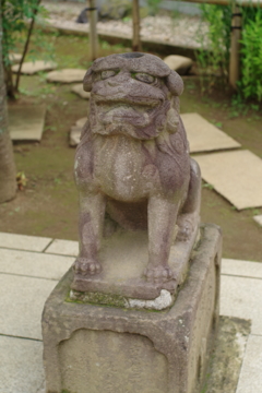 狛犬_鳩森八幡神社