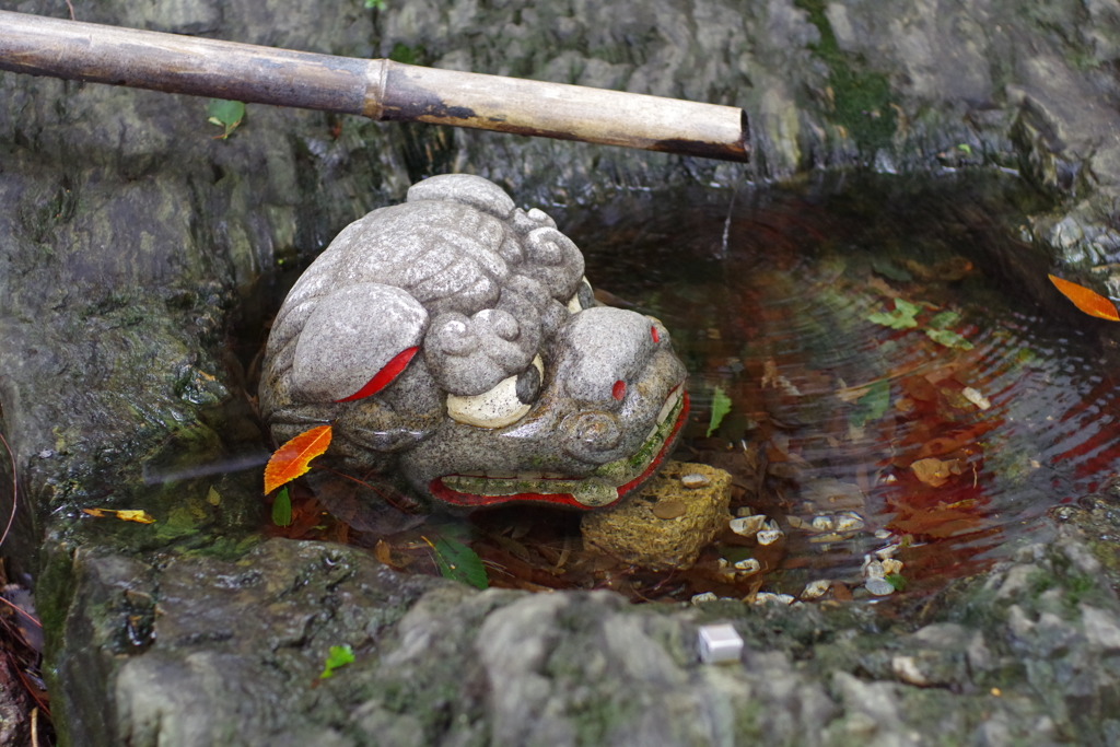 獅子頭_手水鉢_田無神社