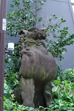 狛犬_山王日枝神社