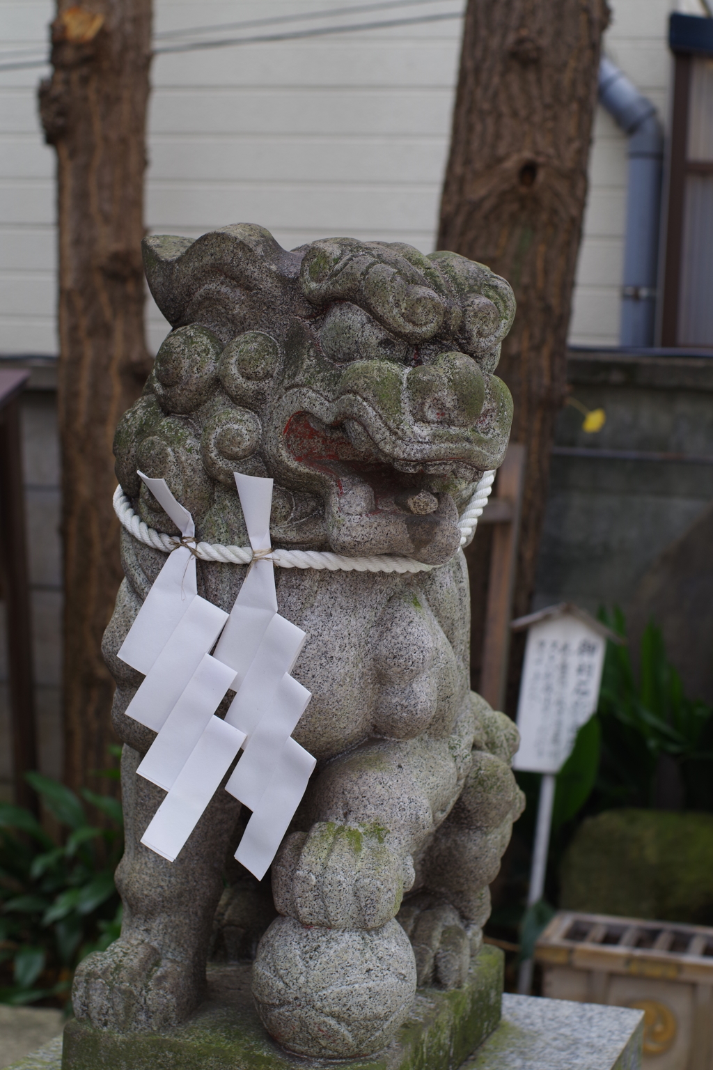 狛犬_幸稲荷神社(芝公園)