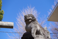 狛犬_新宿諏訪神社