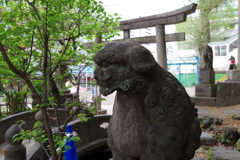 狛犬_王子稲荷神社