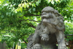 湯島天神