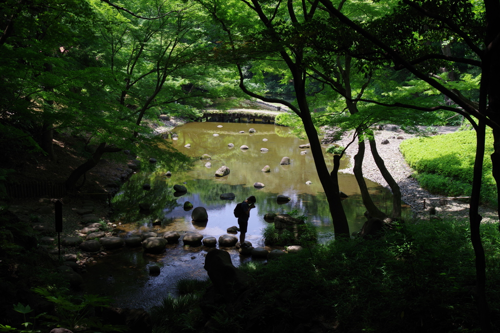 大堰川_小石川後楽園