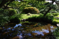 池_小石川植物園