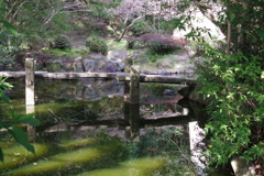 探勝園