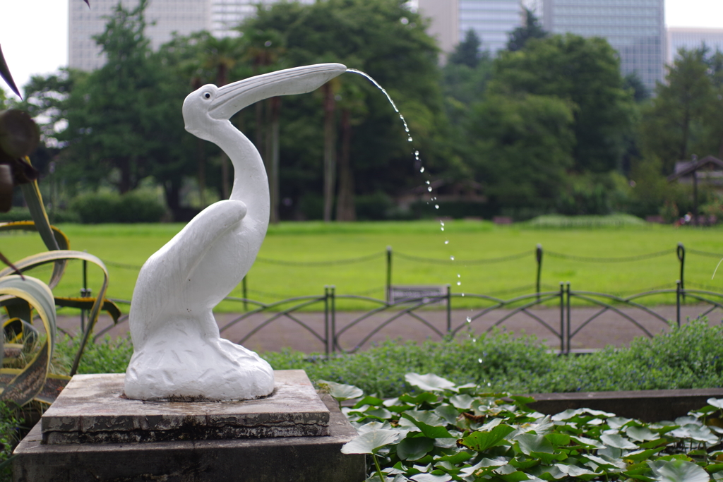 ペリカン_日比谷公園