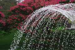 噴水_昭和記念公園