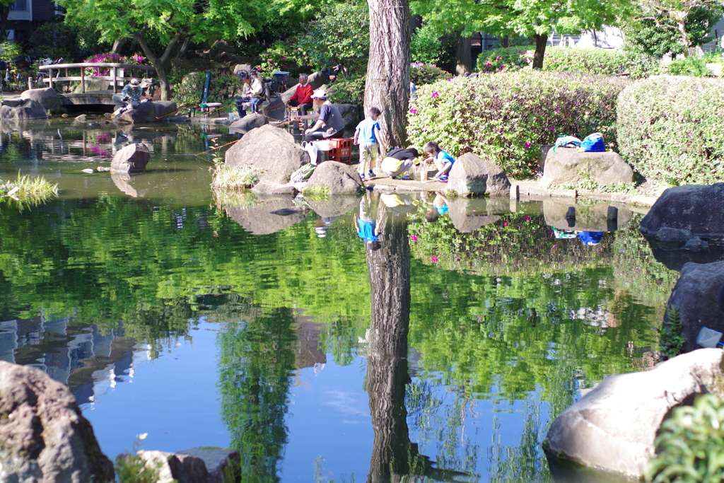 池_新井薬師公園