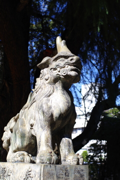 狛犬_青山熊野神社
