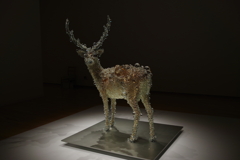 PixCell-Deer＃17_東京都現代美術館