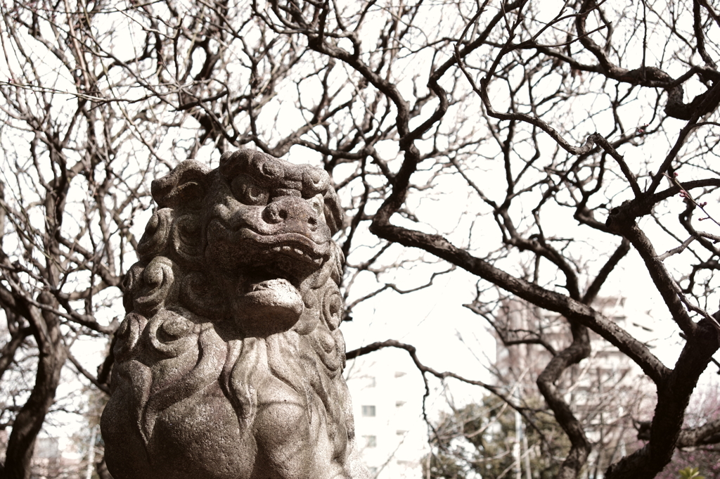 狛犬_新井天神北野神社