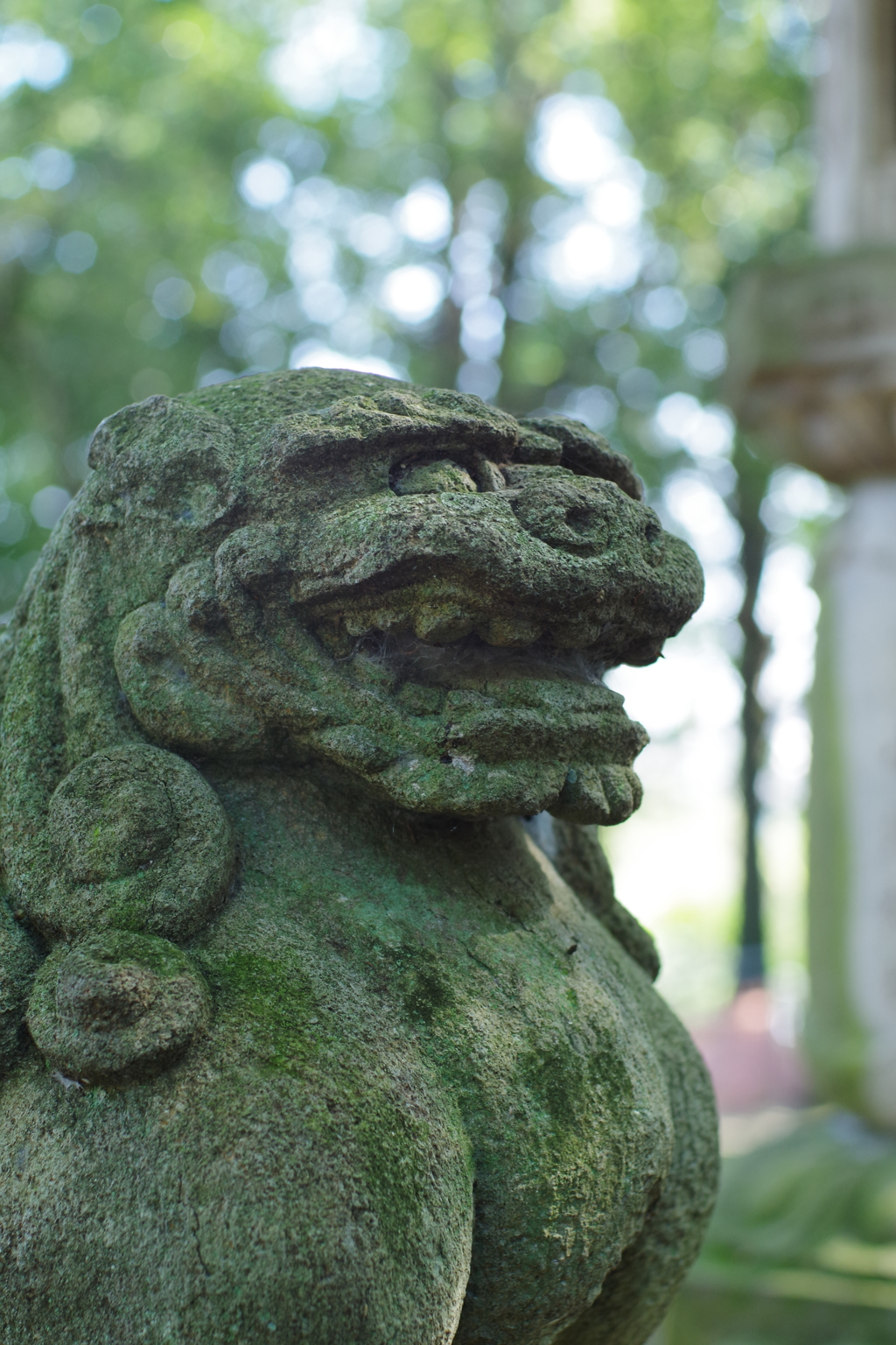狛犬_和泉熊野神社