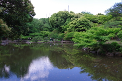 心字池_旧古河庭園