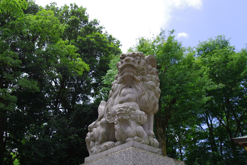 狛犬_荻窪八幡神社