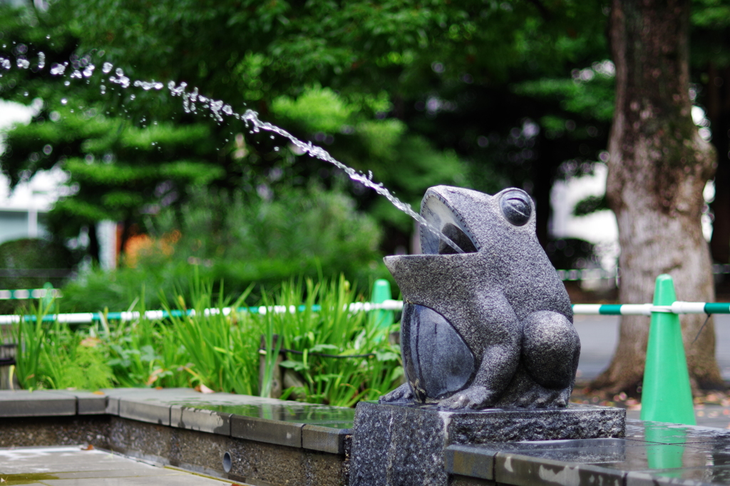 上野のカエル_上野恩賜公園