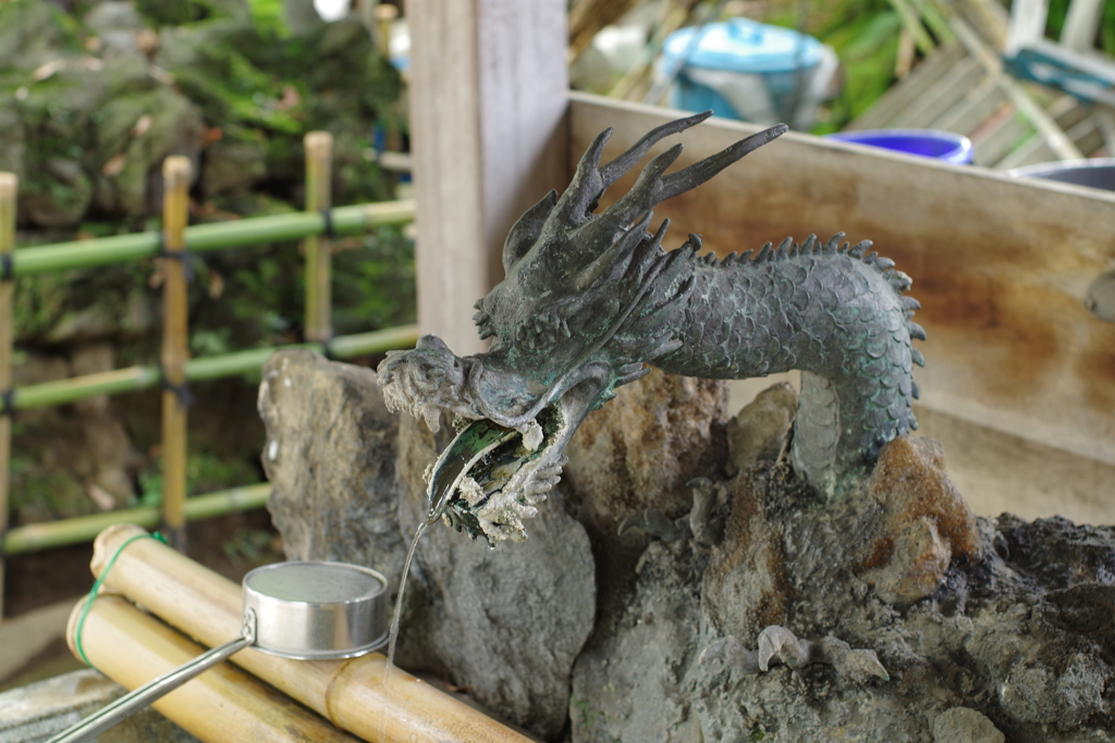 手水舎_龍_須賀神社