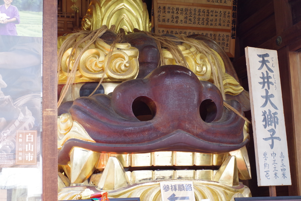 天井大獅子_波除稲荷神社