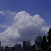 夏雲