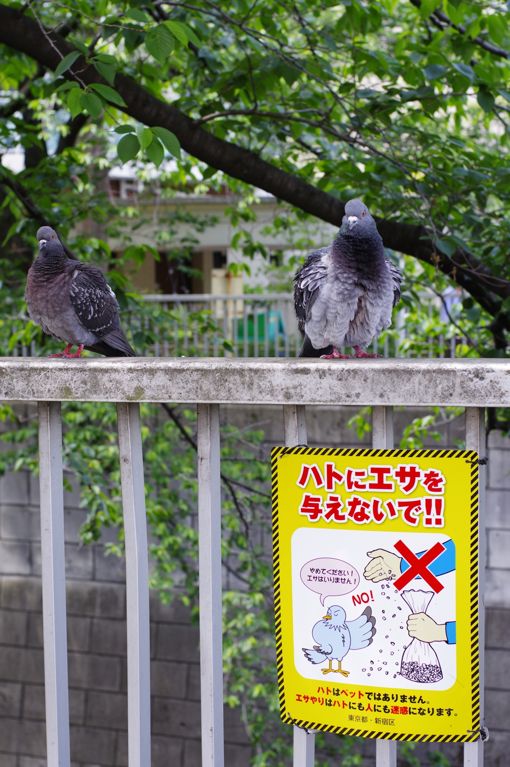 シケてるぜ。