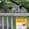 シケてるぜ。
