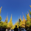 イチョウ並木_明治神宮開園