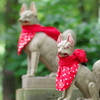 稲荷様の狐_新宿十二社熊野神社