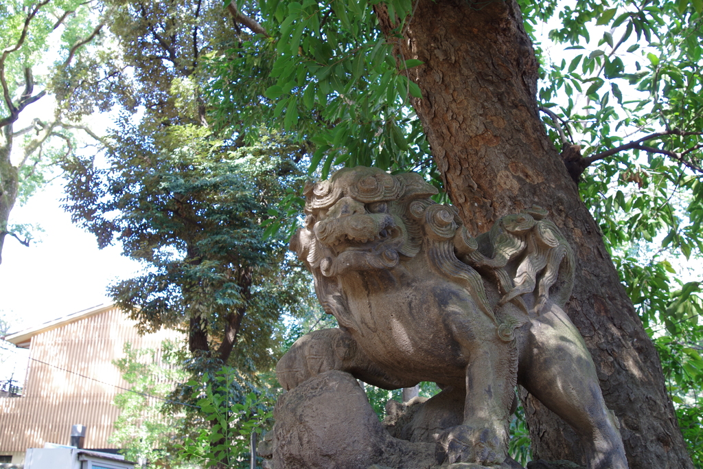 獅子山_赤坂氷川神社