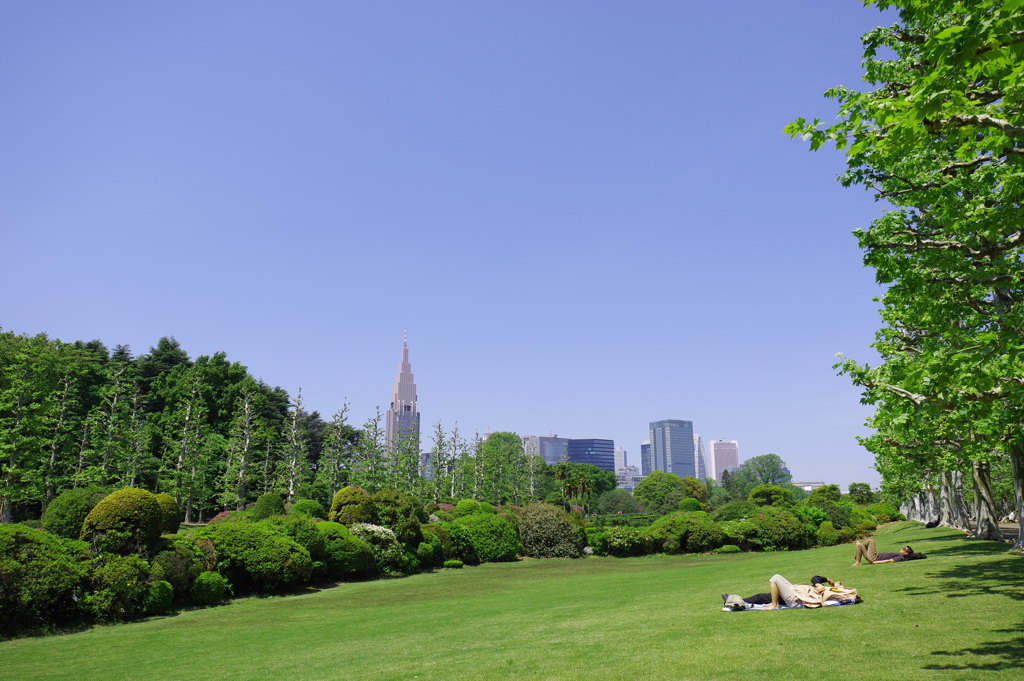 新宿御苑