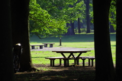 小金井公園