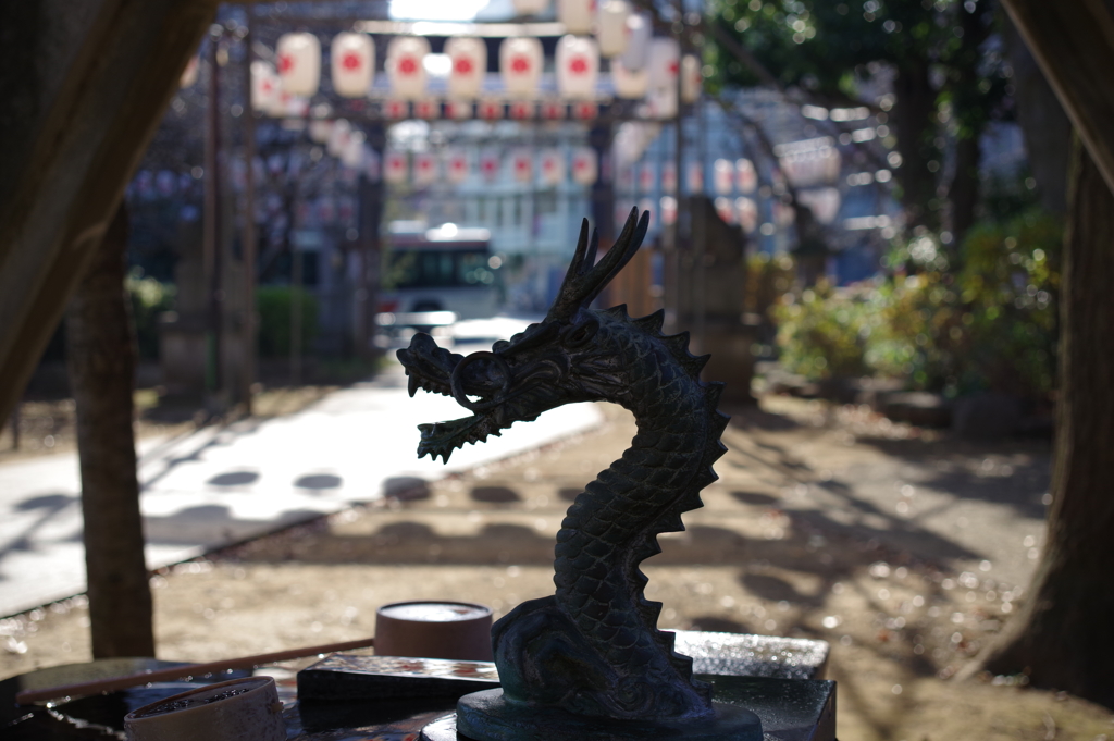 手水舎_龍_新井天神北野神社