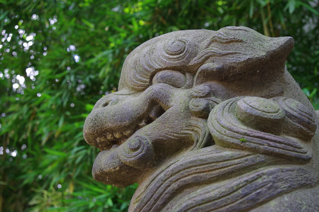 狛犬_荻窪八幡神社
