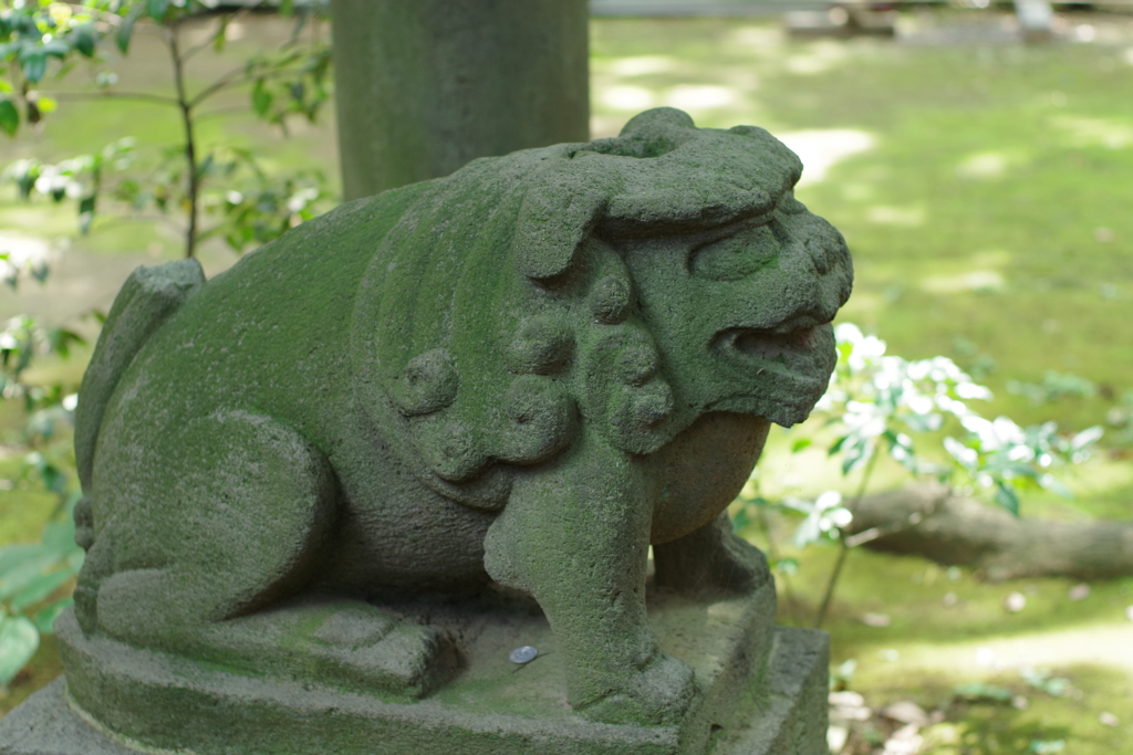 狛犬_赤坂氷川神社