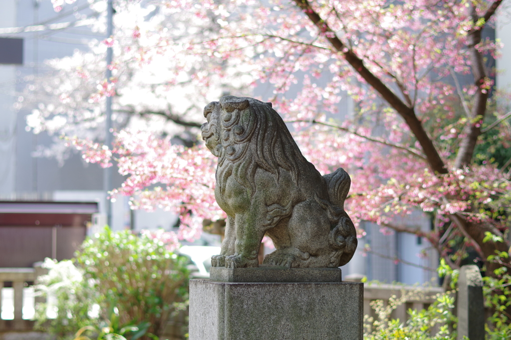 狛犬_新井天神北野神社