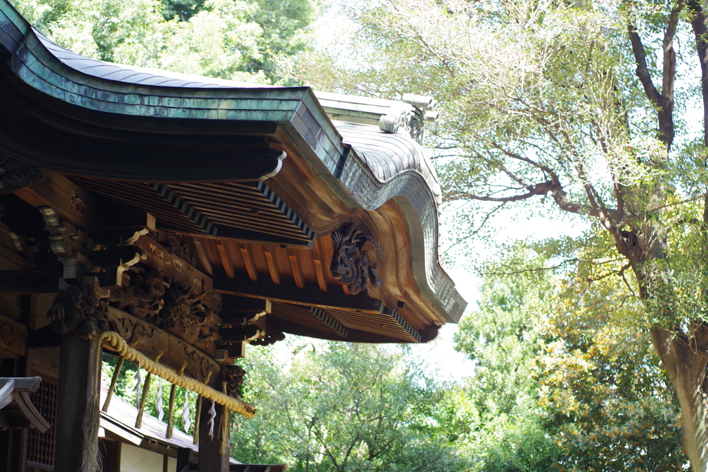 破風_和泉熊野神社